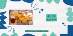 فوائد عسل المجرى للرجال