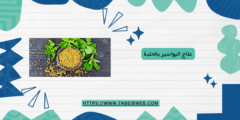 علاج البواسير بالحلبة