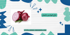 علاج البواسير بالبصل