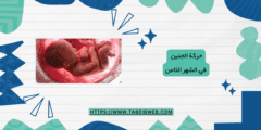 حركة الجنين في الشهر الثامن بالصور