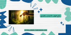 علاج التهاب الأعصاب بالعسل