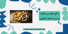 علاج البواسير بالثوم و عسل النحل الطبيعى