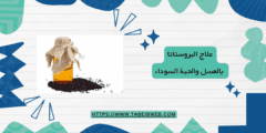 علاج البروستاتا بالعسل والحبة السوداء