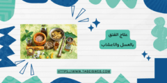 علاج الفتق بالعسل والاعشاب