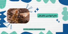 علاج البواسير بالقرنفل