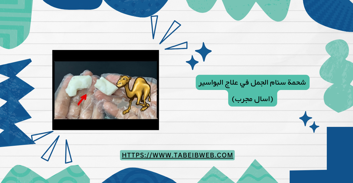شحمة سنام الجمل في علاج البواسير (اسال مجرب) 1 طبيب ويب شحمة سنام الجمل في علاج البواسير