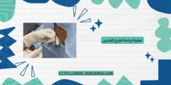 عملية جراحة الشرخ الشرجى بالصور Anal fissure surgery
