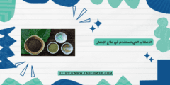 5 من الأعشاب التي تستخدم في علاج الإدمان وتخطي أعراض الانسحاب