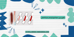 الفرق بين دم الدورة ودم بداية الحمل