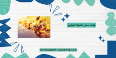 فوائد عسل المانوكا للقولون