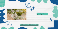 فوائد الشيح للصداع