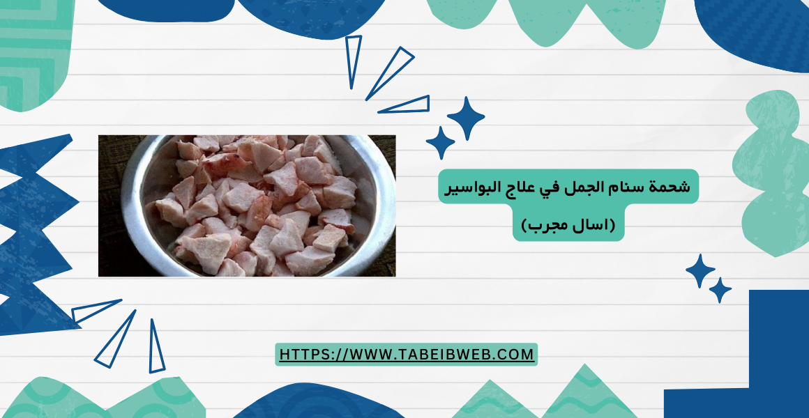 شحمة سنام الجمل في علاج البواسير (اسال مجرب) 1 طبيب ويب شحمة سنام الجمل في علاج البواسير