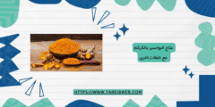 علاج البواسير بالكركم مع خلطات اخرى