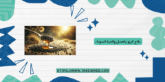 علاج الربو بالعسل والحبة السوداء