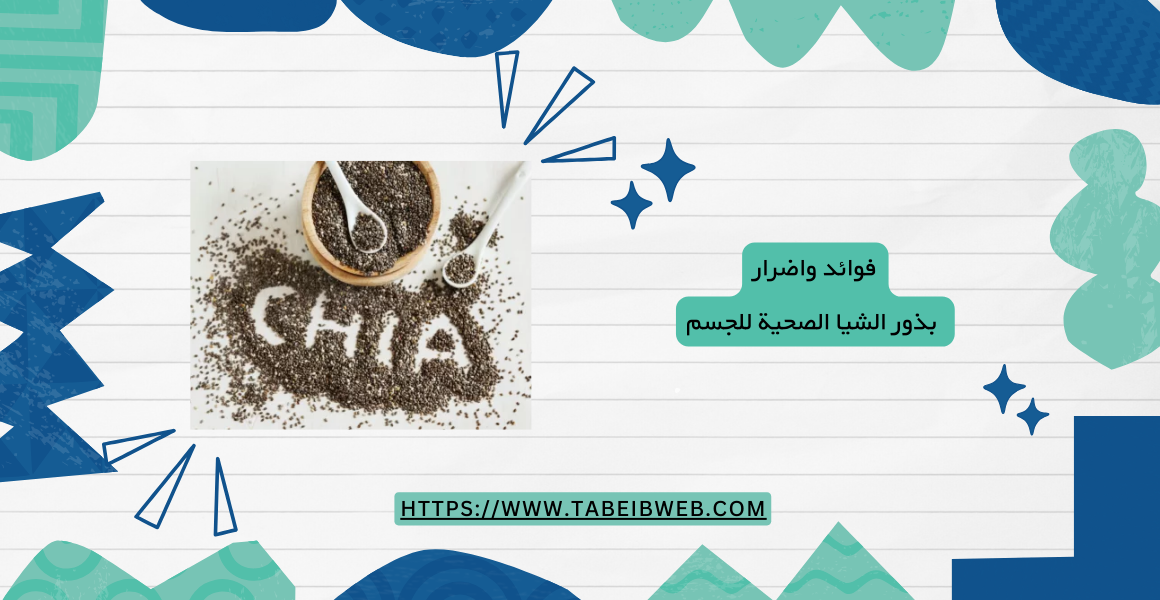 فوائد واضرار بذور الشيا الصحية للجسم